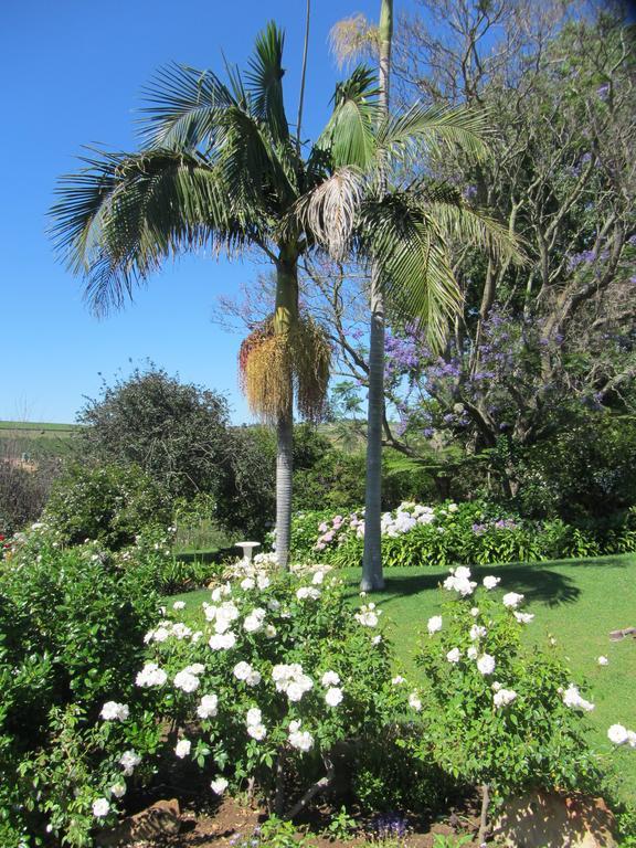 Aan-Den-Weg Villa Stellenbosch Buitenkant foto