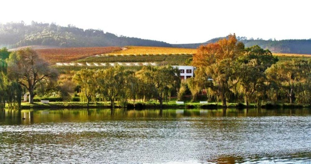 Aan-Den-Weg Villa Stellenbosch Buitenkant foto
