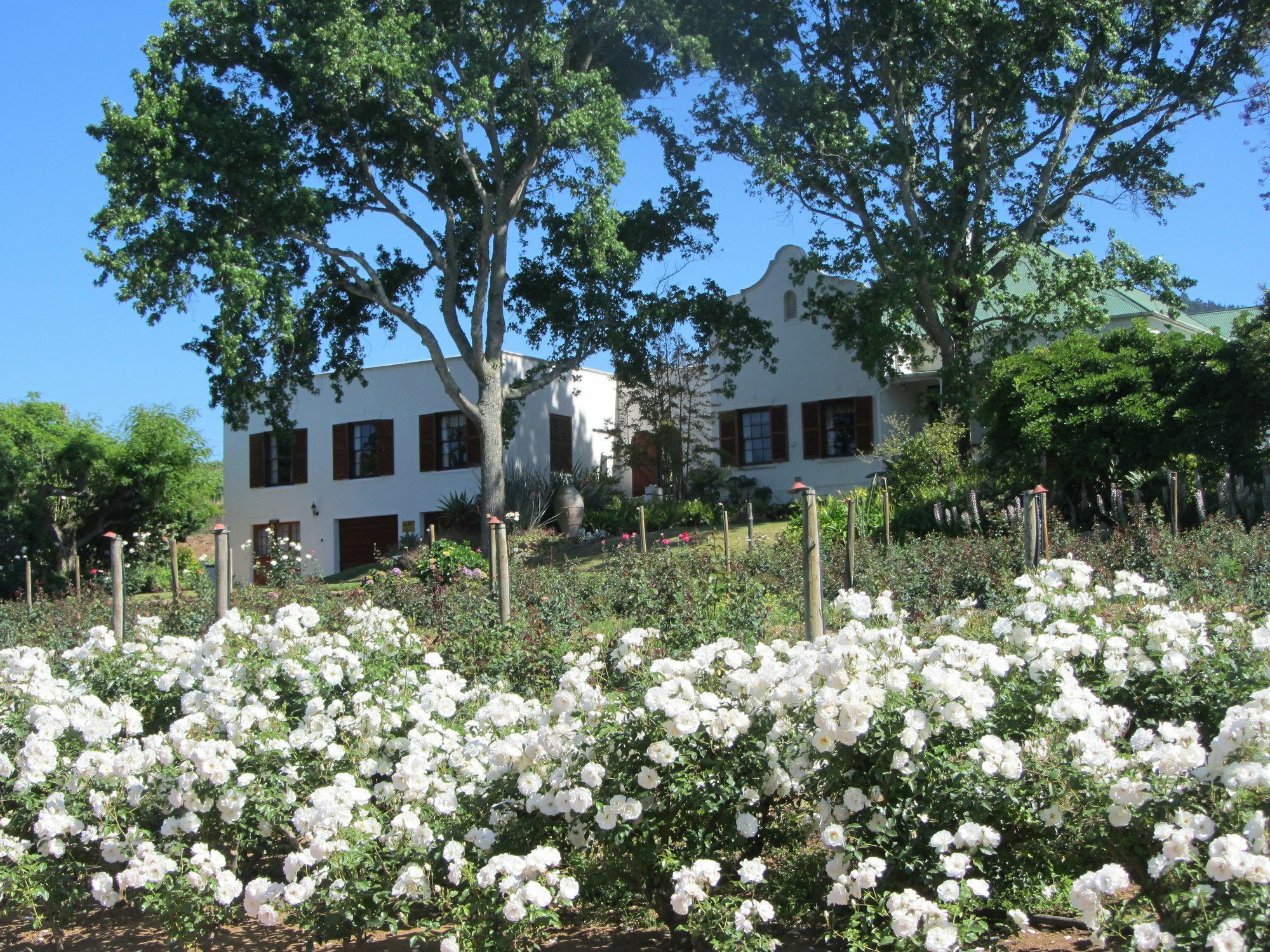Aan-Den-Weg Villa Stellenbosch Buitenkant foto