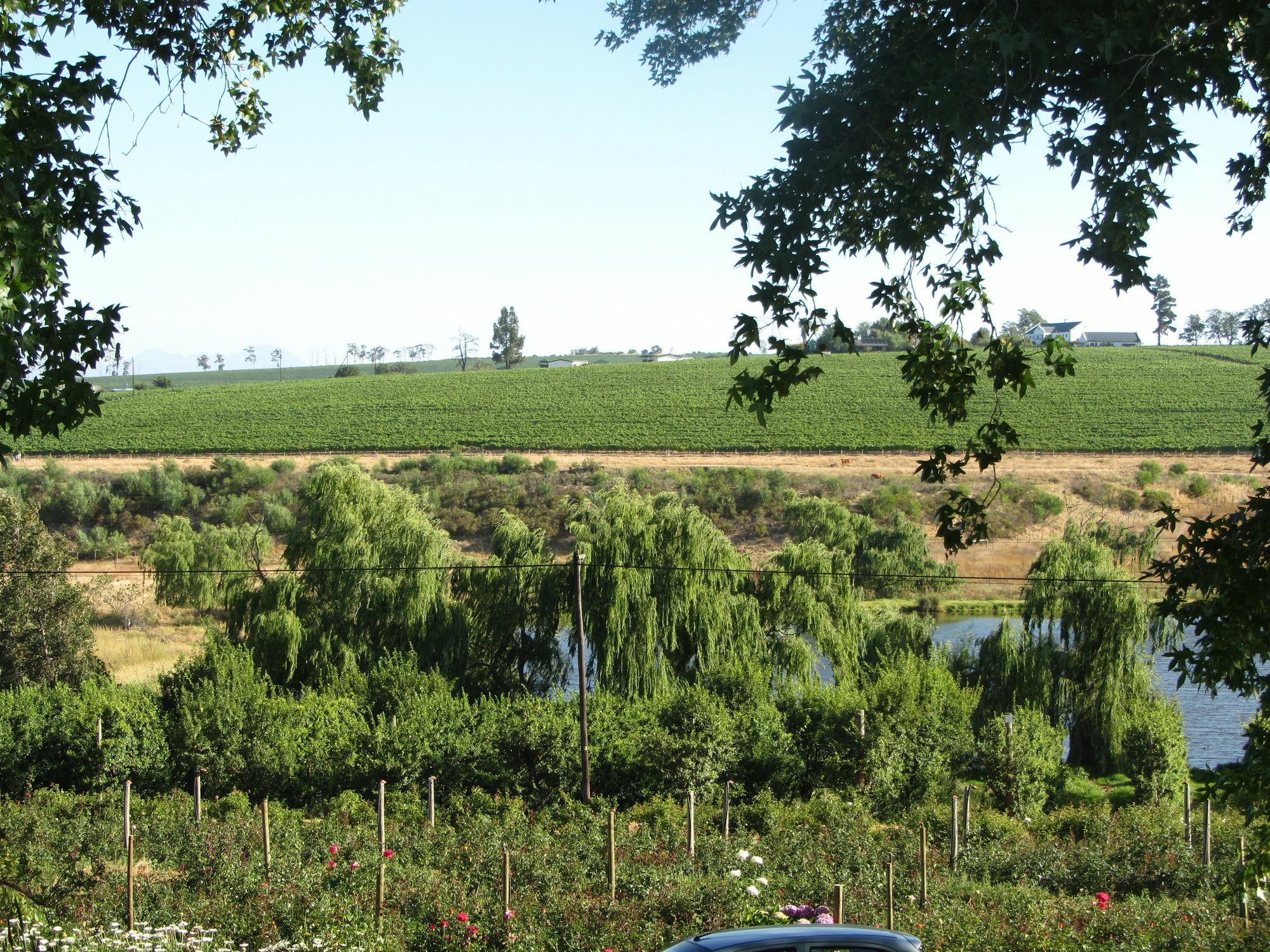 Aan-Den-Weg Villa Stellenbosch Buitenkant foto