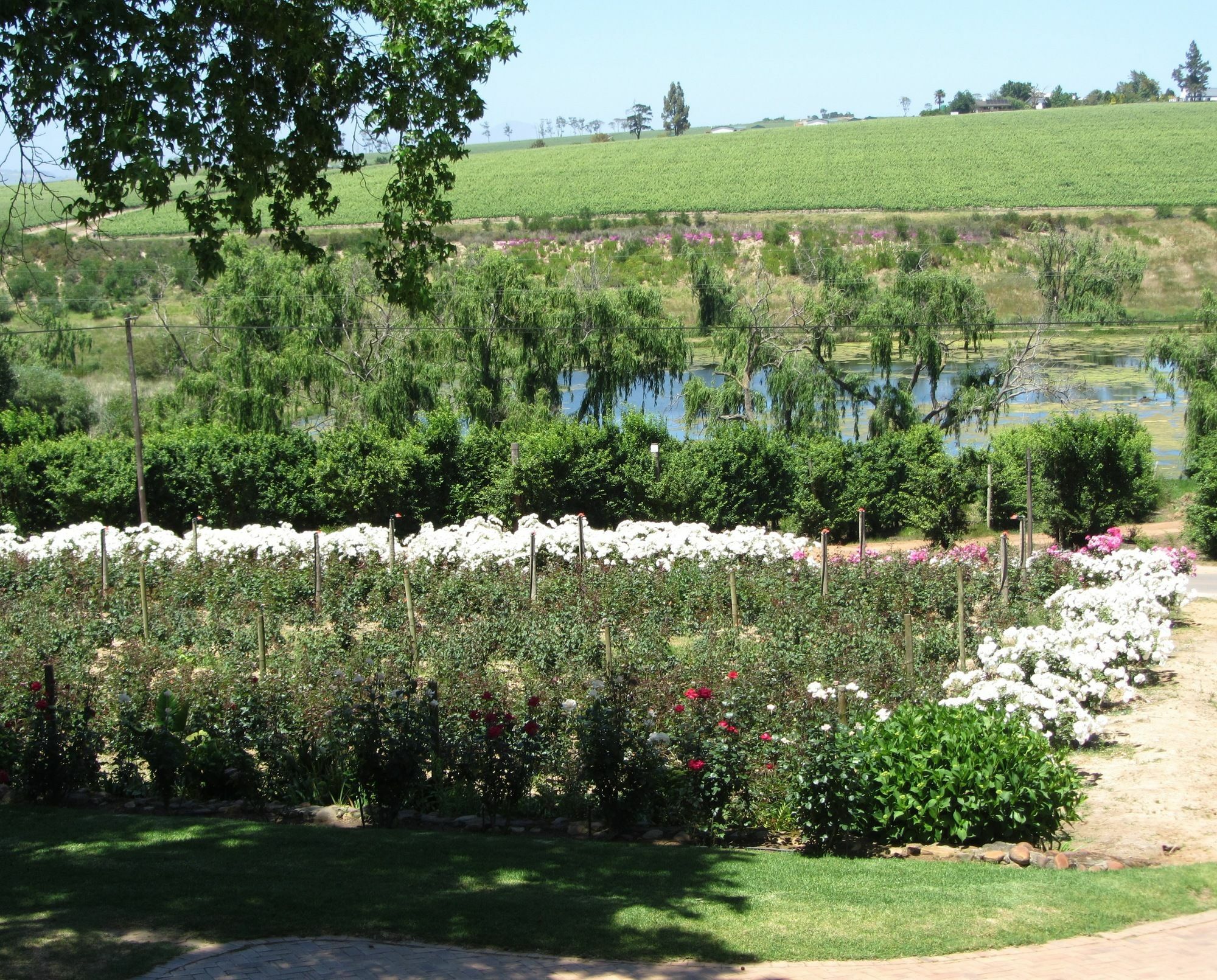 Aan-Den-Weg Villa Stellenbosch Buitenkant foto